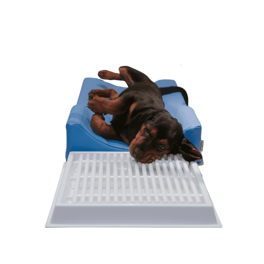Dental Drip Tray